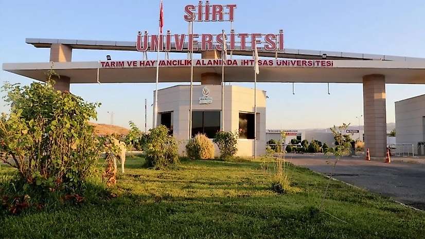 Siirt Üniversitesi'nde Mehmet Dağ için yeni gelişme: Görevden çıkarma kararı iptal edildi