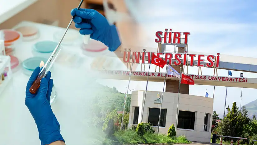 Siirt Üniversitesi Tıbbi Laboratuvar Teknikleri Programı Öğretim Görevlisi alımı sonuçlandı
