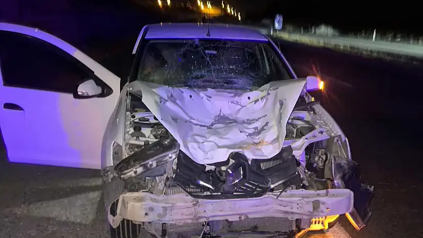 Son Dakika! Siirt'te Otomobil Yola Aniden Çıkan Ata Çarptı