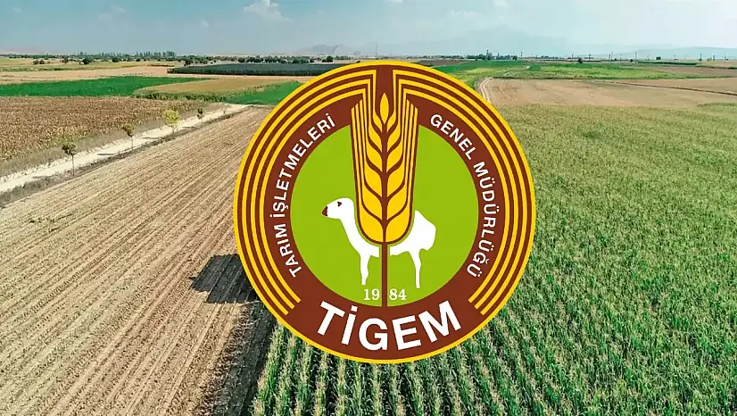 Tarım işletmelerine 254 personel alınacak: Kadrolar, şehirler ve şartlar açıklandı