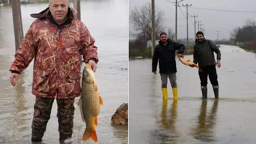 Tarlanın ortasından çıktı, tartıda 7 kilo geldi