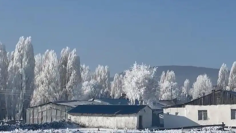 Türkiye buz kesti: En soğuk noktası Bitlis'te ölçüldü