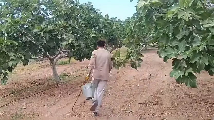 1400 TL İçin Binlerce Kilometre Uzakta: Siirt'te İşsizlik Dram