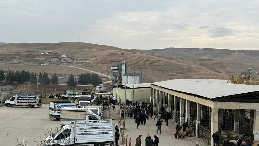Aylar sonra gelen müjdeli haber: Siirt Hayvan Pazarı yeniden açıldı