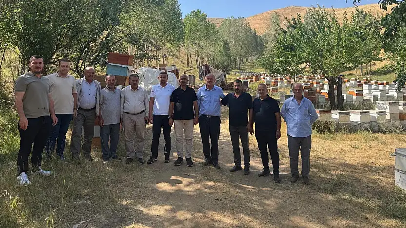 Bal Hasadı Başlıyor: Siirtli Arıcıların Sahadaki Durumu Yerinde Görüldü