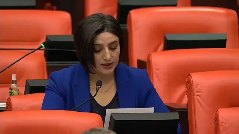 DEM Parti Siirt Milletvekili Sabahat Erdoğan Sarıtaş: Siirt Fıstık Üreticileri Desteklenmeli, İthalata Son Verilmeli