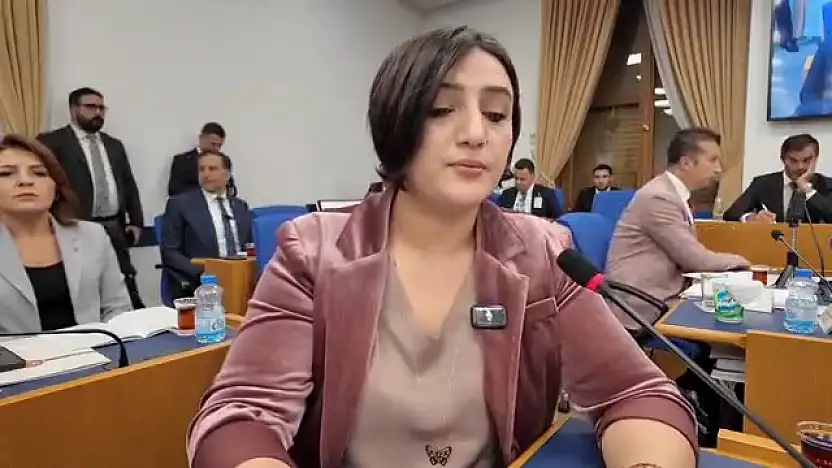 DEM Parti Siirt Milletvekili Sarıtaş, Siirt'in Turizmde Geri Planda Kalmasını Meclis Gündemine Taşıdı