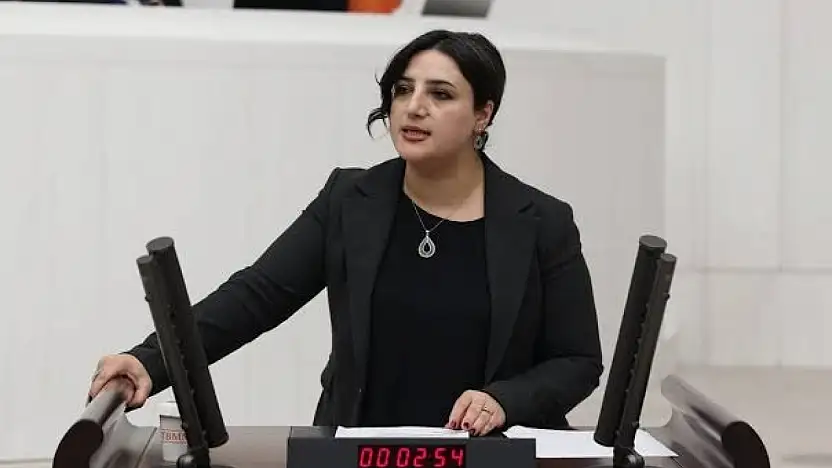 DEM Parti Siirt Milletvekili Sarıtaş TBMM'de Emekçilerin Sorunlarını Gündeme Taşıdı