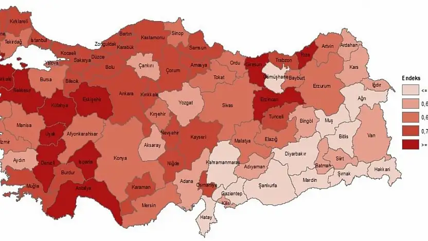 Doğu ile Batı Arasındaki Beşeri Sermaye Farkı: Siirt Ortalama Altında Kaldı