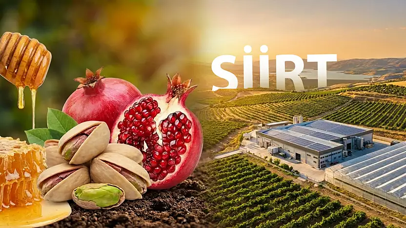 Doğudan Yükselen Bereket: Siirt Tarımda Büyük Atılım Peşinde