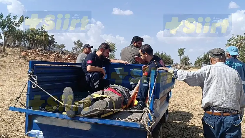 Eruh'ta Fıstık Toplarken Ağaçtan Düşen Çiftçi Patpat ile Ambulansa Taşındı