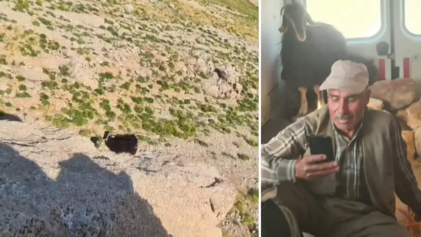 Eruh'ta Kayalıklarda Mahsur Kalan Küçükbaş Hayvanlar 9 Gün Sonra Kurtarıldı