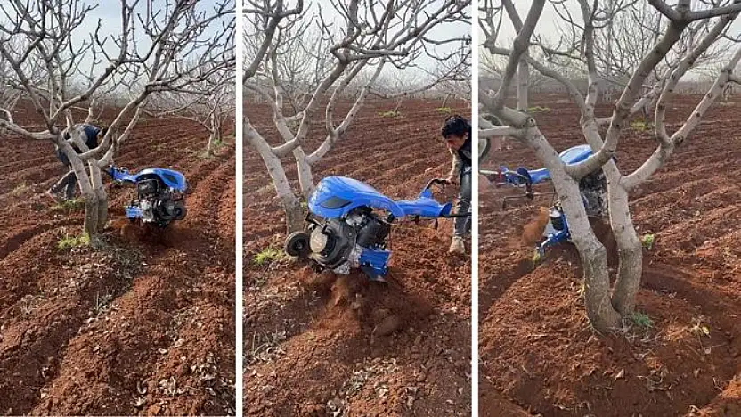 Fıstık üreticilerine Aralık ayında yapılması gerekenler hakkında uyarı yapıldı