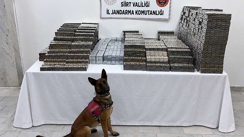 Kömür Çuvallarının Arasına Gizlediler: Siirt'te 700 Bin TL'lik Kaçak Sigara Yakalandı