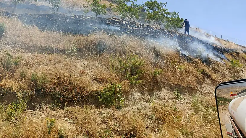 Kurtalan'da Fıstık Bahçesi Yangını: 95 Ağaç Zarar Gördü