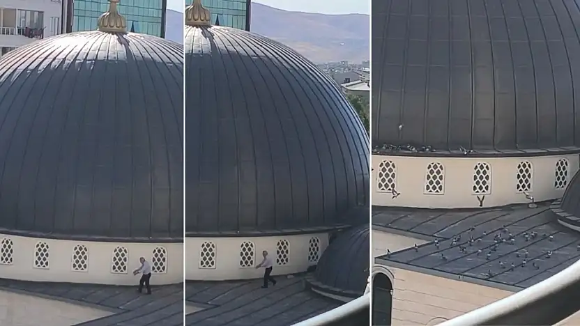 Merhametle Risk Arasında: Siirt'te Cami Kubbesindeki Güvercin Besleme Görüntüsü Viral Oldu