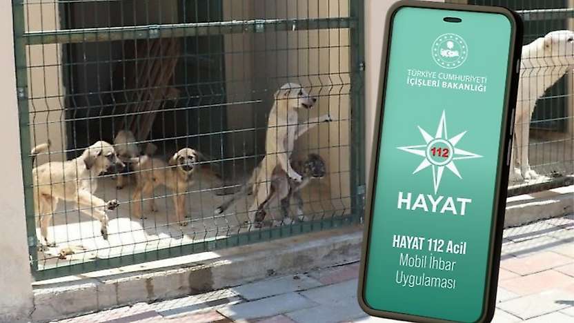 Siirt 112'den Sokak Hayvanları İçin Hayat112 Uygulaması Uyarısı