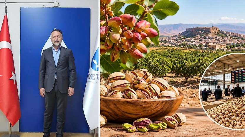 Siirt Fıstığı İçin Önemli Çağrı: Pazar ve Borsa Kurulmalı