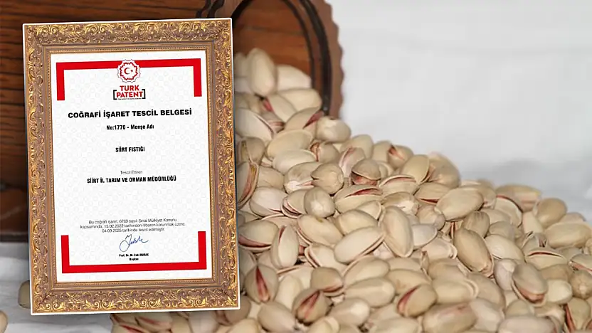 Siirt Fıstığı, Türkiye Patent ve Marka Kurumu Tarafından Mahreç İşareti ile Tescillendi! İşte Siirt'in Tescilli 11 Ürünü