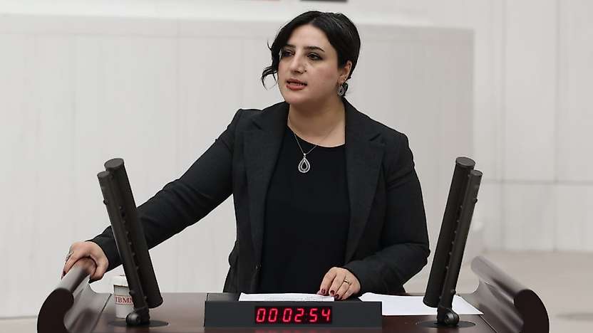 Siirt Fıstığında Fiyat Tepkisi TBMM'ye Taşındı: Siirt Milletvekili Sabahat Erdoğan Sarıtaş'tan Bakanlıklara Çağrı