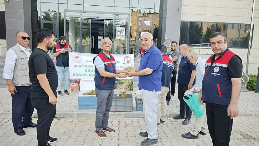 Siirt Fıstığında Verim Artışı İçin Erkek Aşı Kalemi Desteği Başladı