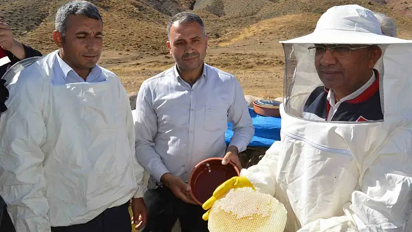Siirt'in Altın Lezzeti Pervari Balı: 2004'ten Beri Coğrafi İşaretli, Artık Daha Güçlü! Terörsüz Dağlarda Rekor Hasat!