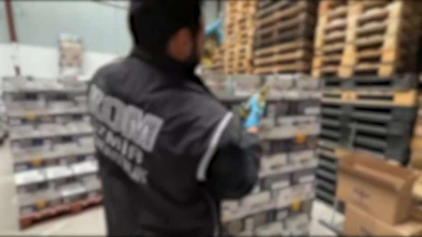 Siirt'in de Aralarında Olduğu 54 İlde Kaçakçılık Operasyonu: 294 Şüpheliye İşlem