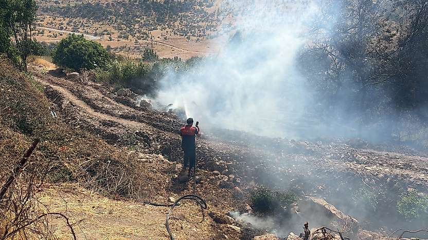 Siirt'in Eruh ilçesine Bağlı Zarova'da Yangın: Ekipler Alevlerle Mücadele Ediyor