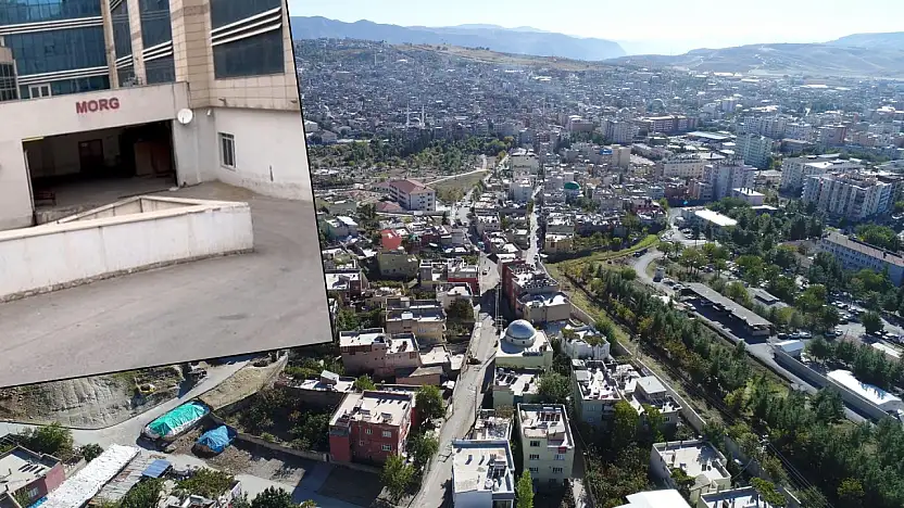 Siirt'in Ölüm Verileri Açıklandı! Bakın Son Bir Yılda Siirt'te Kaç Kişi Hayatını Kaybetti
