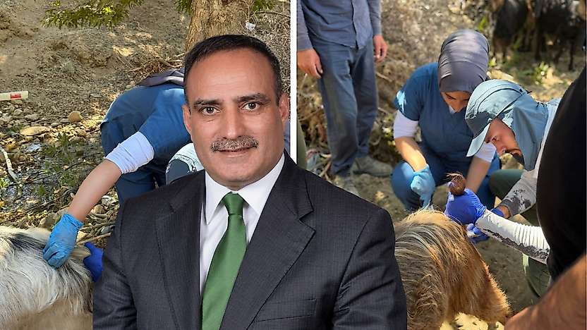Siirt Küçükbaş Hayvancılığında Yeni Dönem: 1.500 Keçide Suni Tohumlama Yapıldı