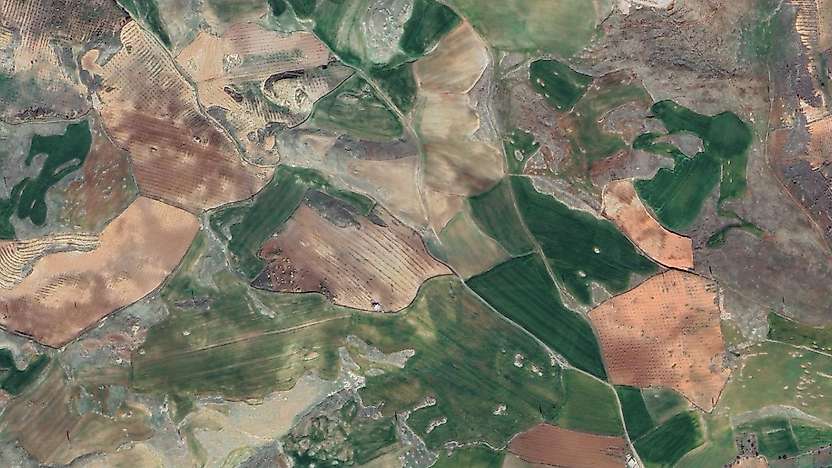 Siirt Kurtalan'da Hazineye Ait 5 Taşınmaz İhaleyle Satışa Çıkarılıyor