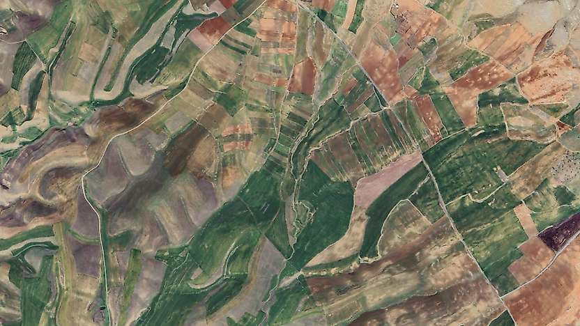 Siirt Kurtalan'da Hazineye Ait 5 Taşınmaz Satışa Çıkarıldı