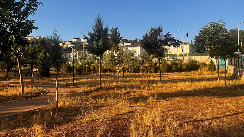 Siirt Millet Bahçesi'nde Çimler Bakımsızlık Nedeniyle Kurudu