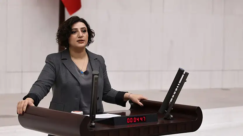 Siirt Milletvekili Sarıtaş'tan ''Epstein Dosyaları'' İçin Meclis Araştırması Talebi