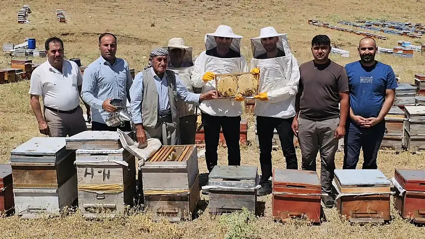 Siirt Pervari'nin Bal Mesaisi Çema Kari Yaylası'nda Sürüyor