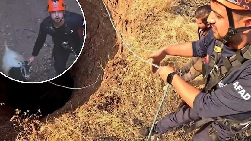 Siirt'te 30 Metrelik Obruğa Düşen Keçi AFAD Ekiplerince Kurtarıldı