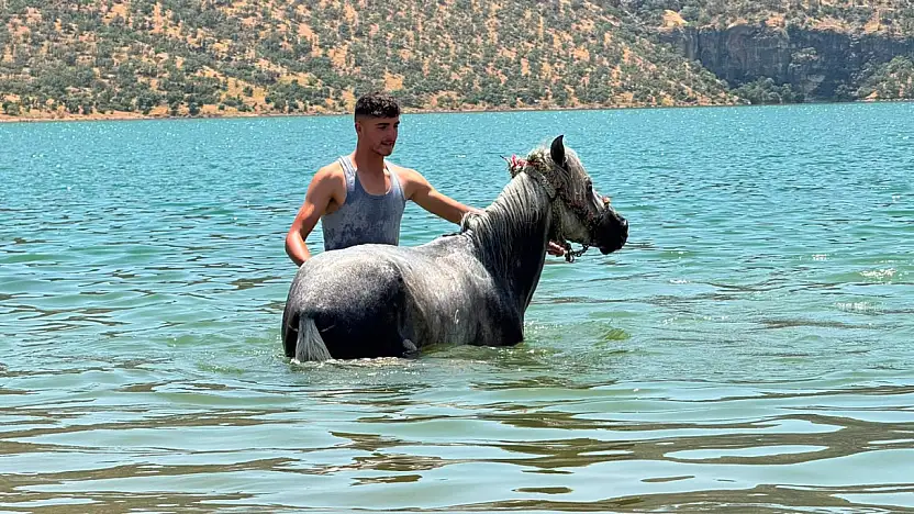 Siirt'te 39 Dereceyi Gören Sıcaklarda Vatandaşlar Atlarını Suya Sokarak Serinletti