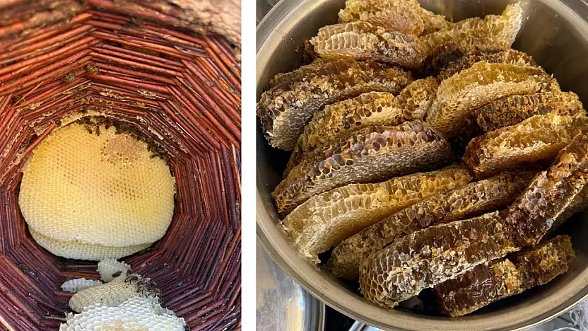 Siirt'te 5. Kuşak Arıcılık Geleneği: Balın Her Şeyi Arıya Ait