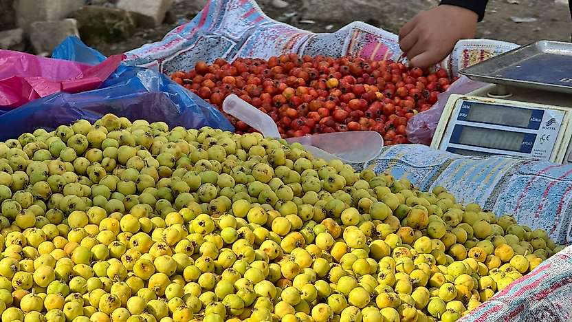 Siirt'te alıç tezgâhlarda: Kilosu 100-150 TL arasında