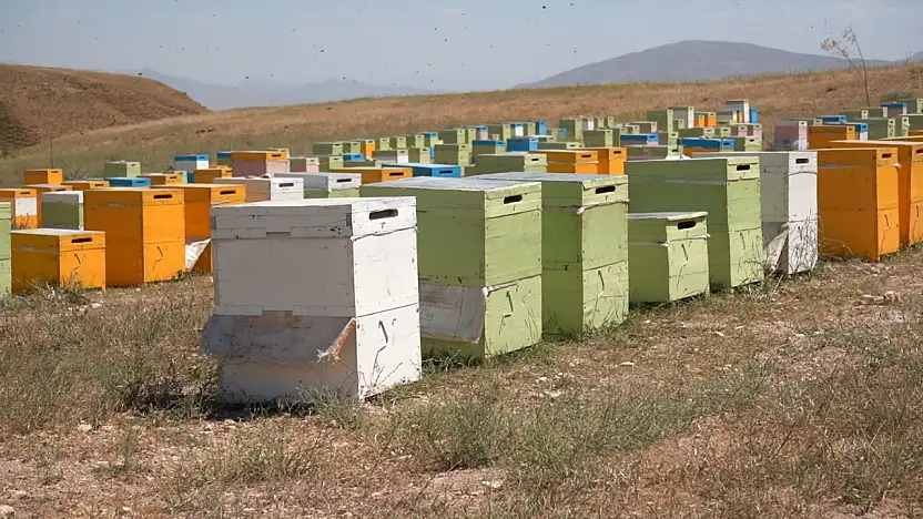 Siirt'te Arıcılara Kovan Desteği İçin Başvurular Başladı