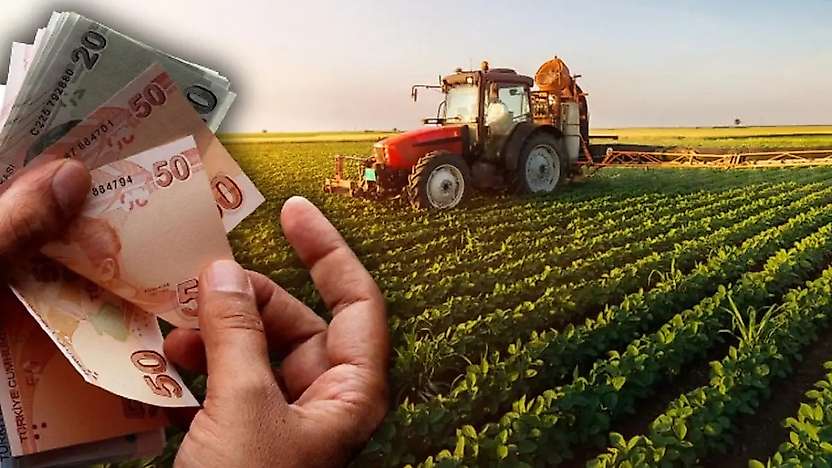 Siirt'te Çiftçilere Destekte Yeni Artış: Dekar Başına 367 TL