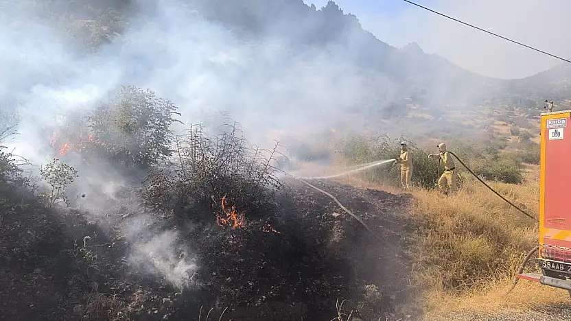 Siirt'te Çıkan Orman Yangını Kontrol Altına Alındı