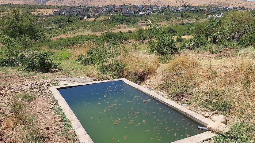 Siirt'te Doğa Fotoğrafçısı Üzüm Tek Başına 7 Yıldır Takip Ediyor: 39 Doğal Su Kaynağını Kayıt Altına Aldı