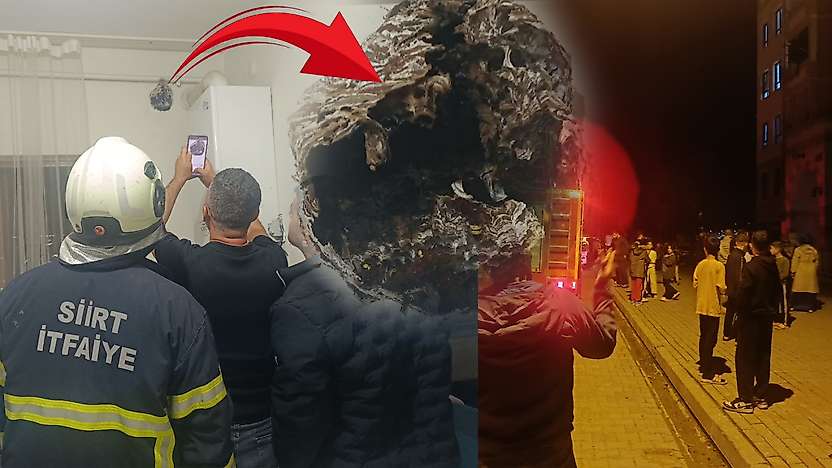 Siirt'te Evine Yuva Yapan Eşek Arılarını Yakmak İsterken Apartmanı Ayağa Kaldırdı!