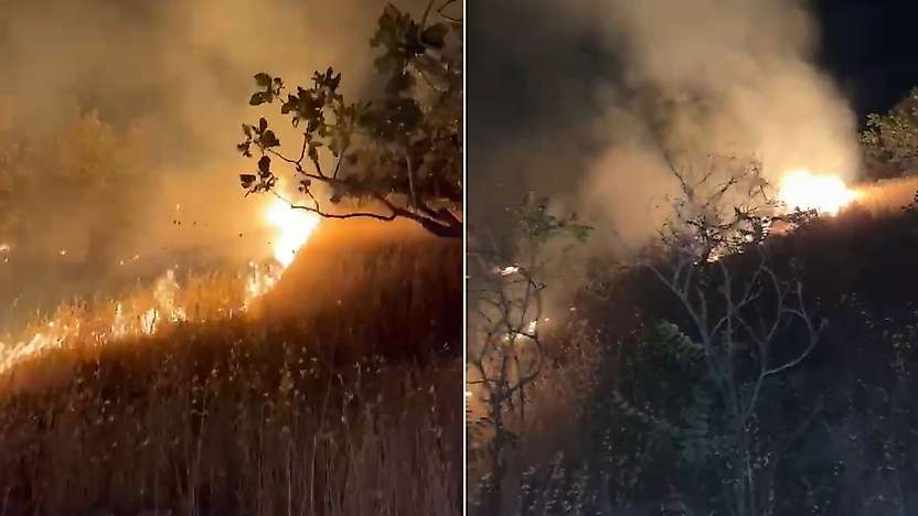 Siirt'te Fıstık Bahçelerinde Çıkan Yangın Gece Yeniden Başladı: 40 Dönüme Yakın Alan Zarar Gördü