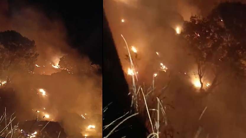 Siirt'te Gece Yarısı Korkutan Yangın! Baykan'ın Ardından Şirvan'da Bağlar Alevlere Teslim Oldu