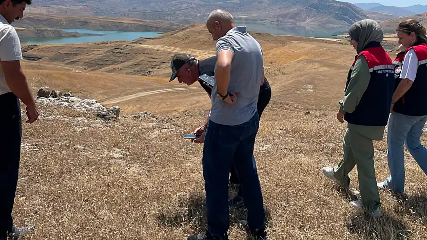 Siirt'te Hayvancılık İçin Önemli Adım: Meralar Yenileniyor