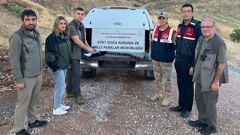 Siirt'te kaçak avcılığa geçit yok! Av koruma ekipleri bir kişiyi yakaladı