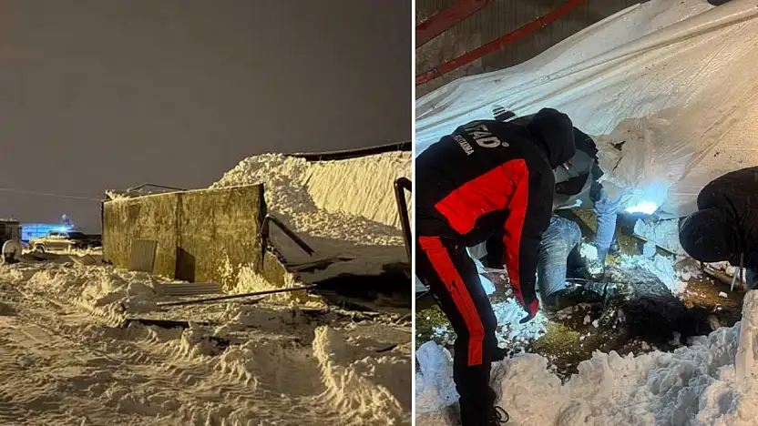 Siirt'te kar nedeniyle 3 ahır çöktü: 250 hayvan telef oldu!