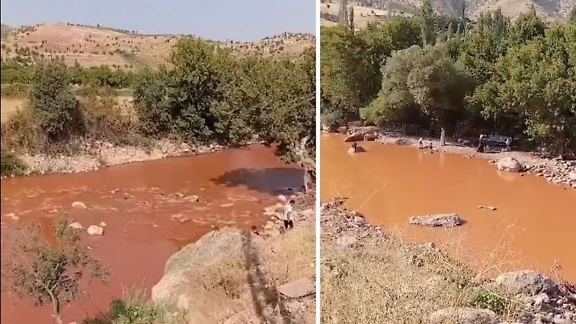 Siirt'te Korkunç Görüntü: Zorava Çayı Çamura Büründü